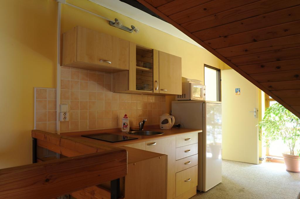 Penzion Alpina Liberec Rum bild